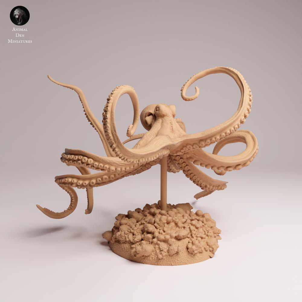 Product photo 2: Sea creature animal figure: Day Octopus - swimming (25_10_06)