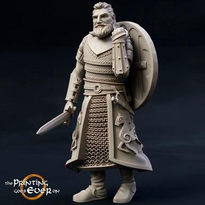 Product photo medieval historical figure 75mm Scale The Printing Goes Ever On (TPGEO) 0: Medieval figures Knight Guardian B Royal Family