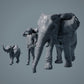 African Elephant Cow and Calf - Animals of the Savannah (23_02_04)