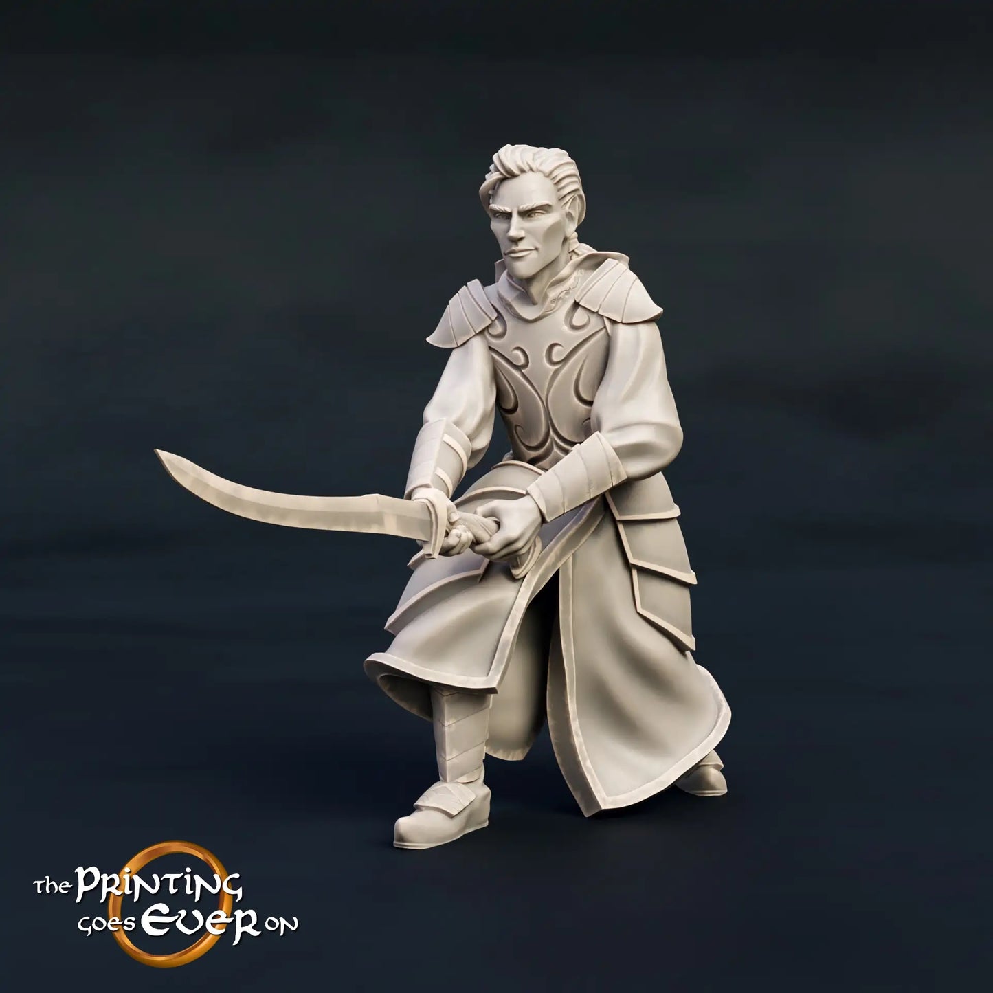 Product photo Tabletop 28mm The Printing Goes Ever On (TPGEO) 0: Elven Leader: Prince Brothers - Skilled Warriors