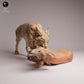 Product photo Tabletop 28mm Lord of the Print (LotP) 3: Wild Animal Figure: Eurasian Lynx with Prey (26_07_03)