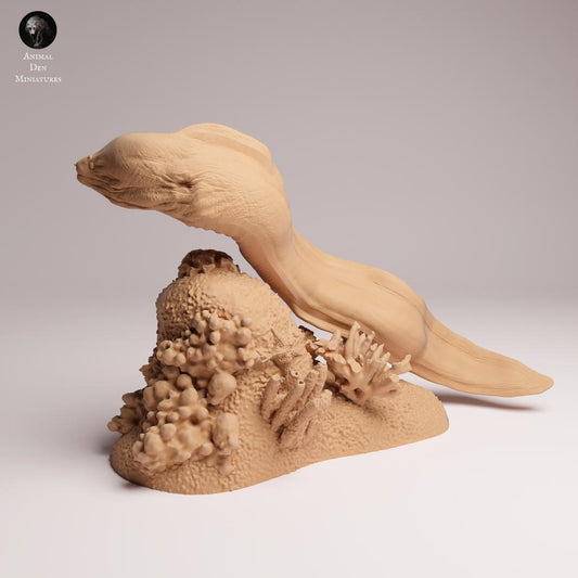 Product photo 0: Sea creature animal figure: Giant moray eel - swimming (25_10_04)