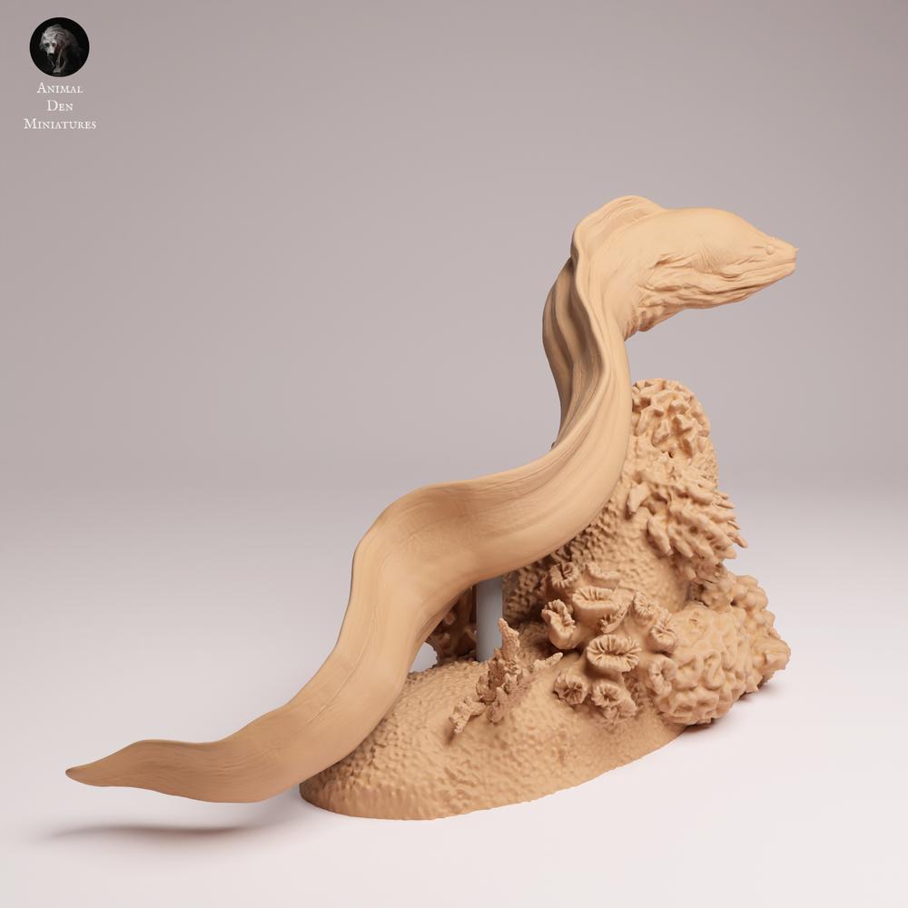 Product photo 1: Marine animal figure: Giant Moray - swimming (25_10_04)
