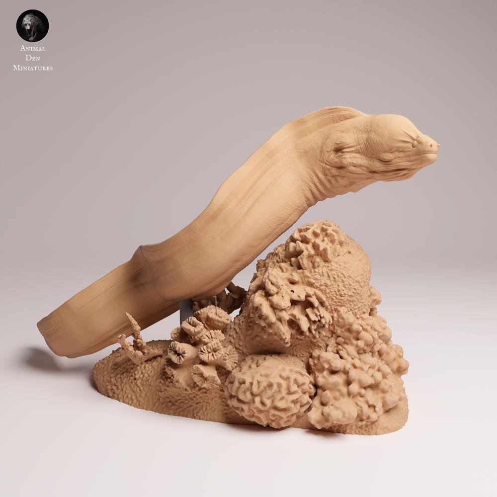 Product photo 2: Sea creature animal figure: Giant Moray Eel - swimming (25_10_04)