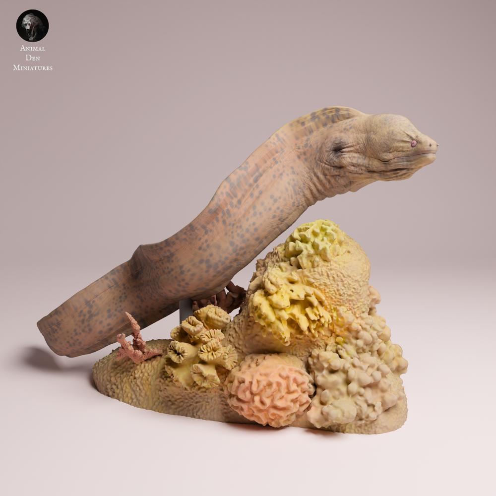 Product photo 3: Sea Creature Animal Figure: Giant Moray Eel - Swimming (25_10_04)