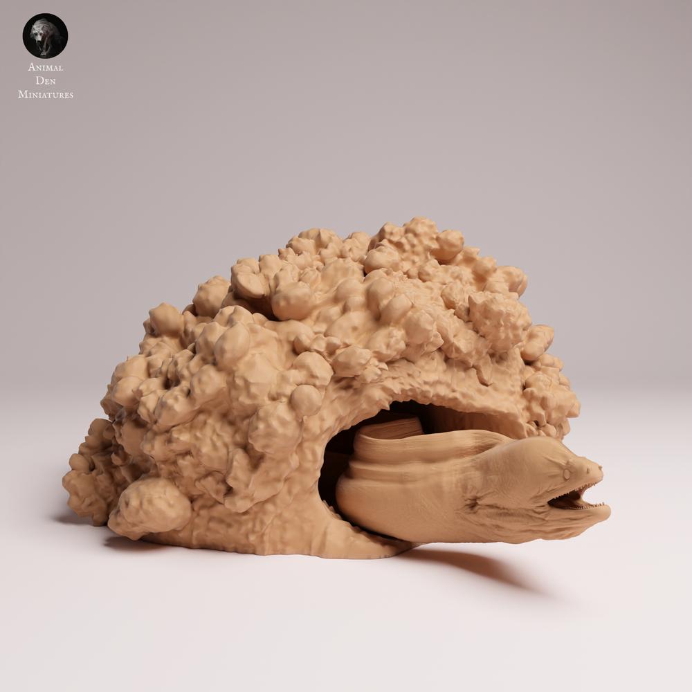 Product image 2: Sea creature animal figure: Giant Moray Eel in its cave (25_10_03)