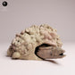 Product photo 3: Sea creature animal figure: Giant Moray Eel in its Cave (25_10_03)