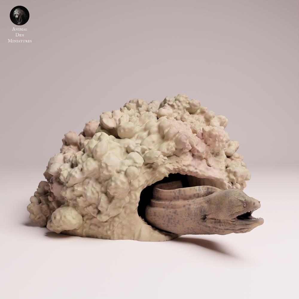 Product photo 3: Sea creature animal figure: Giant Moray Eel in its Cave (25_10_03)