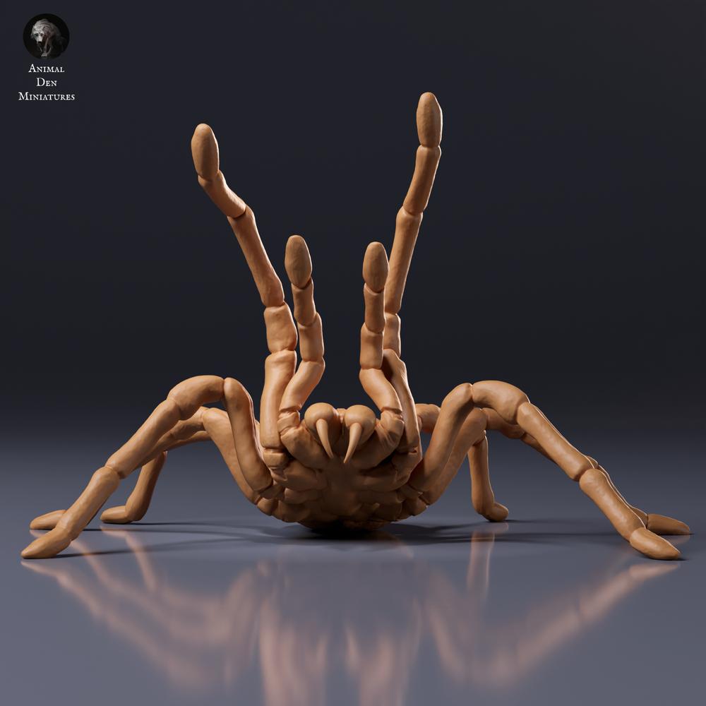 Product photo of animal figure Animal Den Miniatures 7: Arachnid figure: Goliath birdeater tarantula - threat posture (26_10_02)