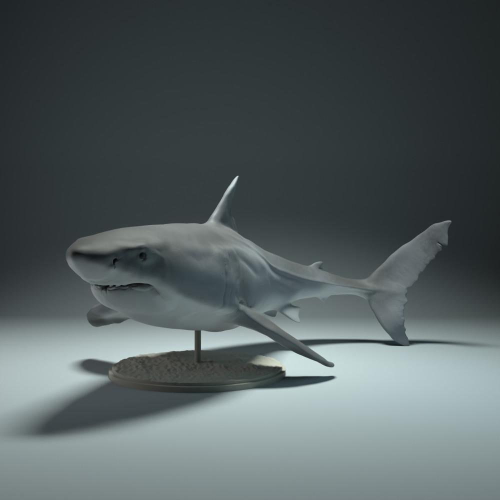 Product photo animal figure Animal Den Miniatures 0: Marine animal figure: Great White Shark (22_09_02)