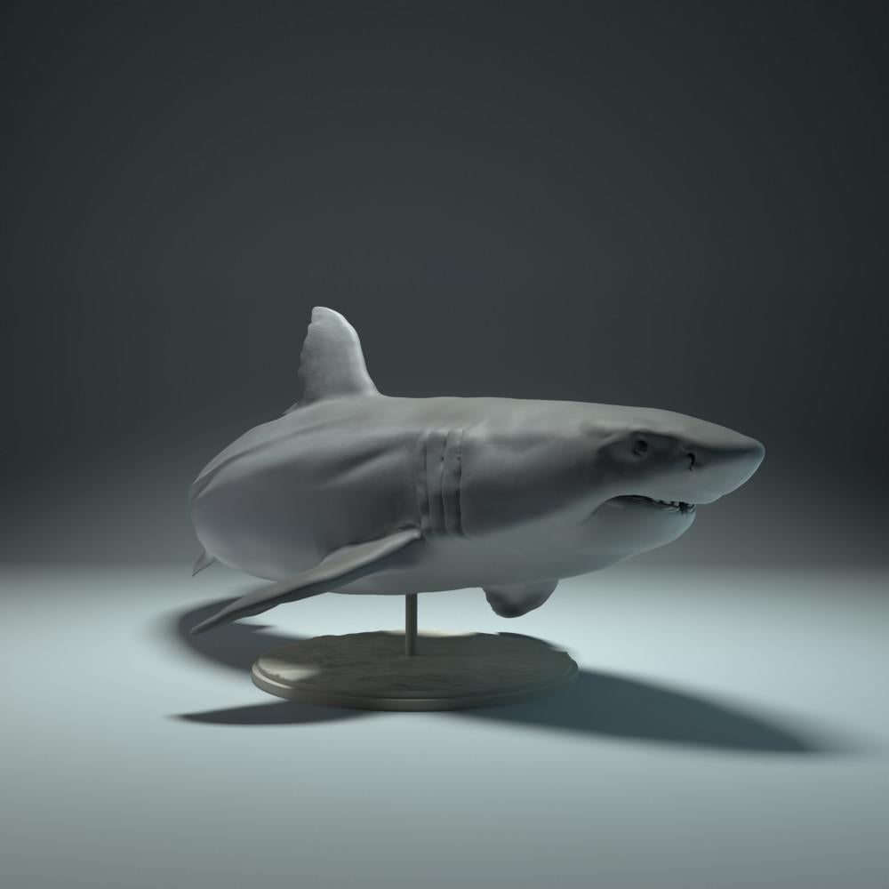 Product photo animal figure Animal Den Miniatures 3: Marine animal figure: Great White Shark (22_09_02)