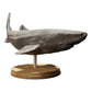 Product photo diorama and model building miniature figure: Shark animal figure: Greenland shark / Ice shark