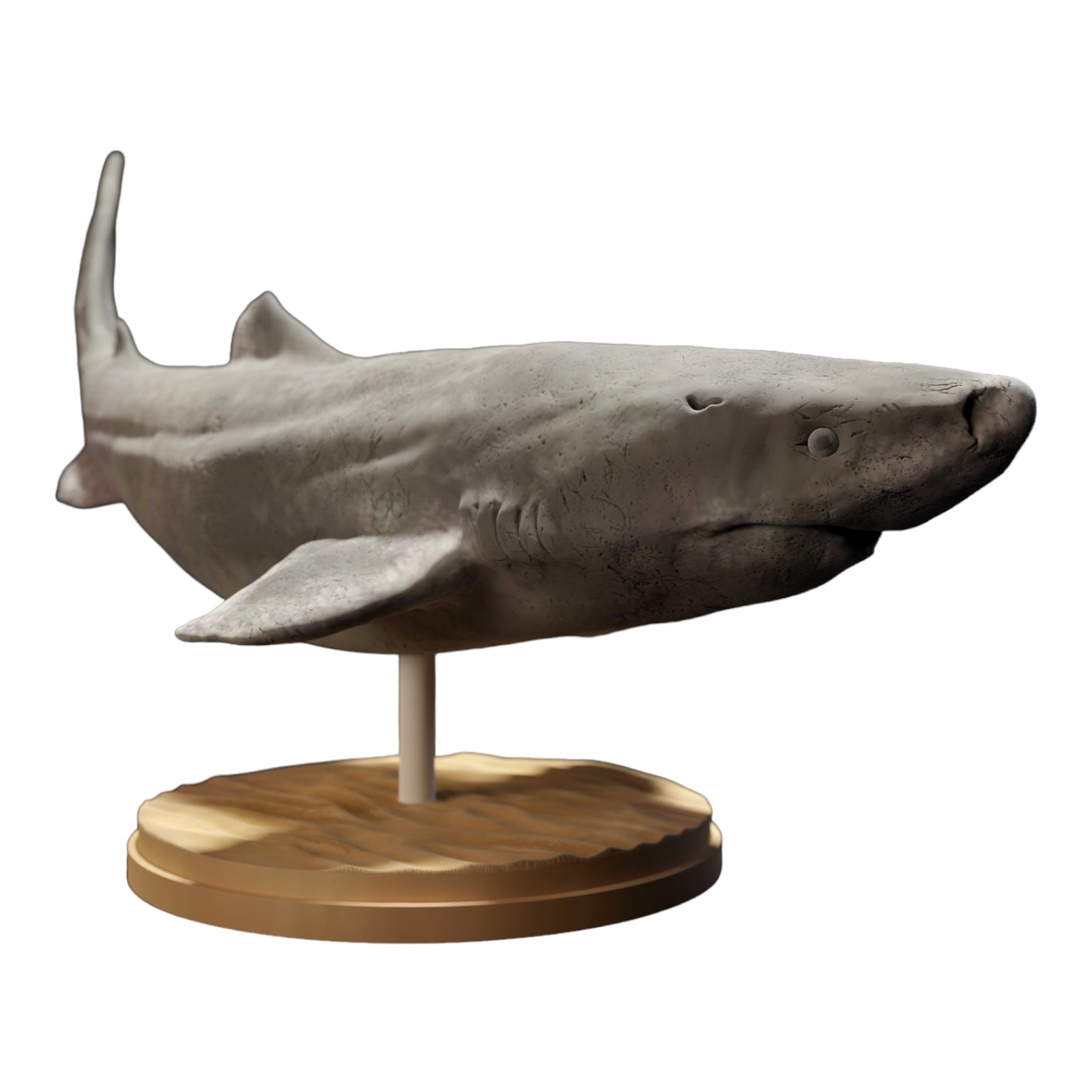 Product photo diorama and model building miniature figure: Shark animal figure: Greenland shark / Ice shark
