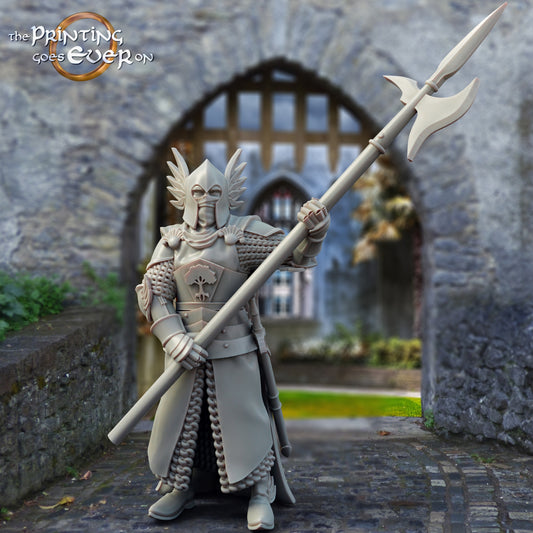 Produktfoto mittelalterliche historische Figur 75mm Scale The Printing Goes Ever On (TPGEO)  0: Mittelalterliche Ritter Figuren Burgwache B Krieger von Gonthan