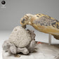 Product photo animal figure Animal Den Miniatures 2: Marine animal figure: Real Hawksbill Turtle - feeding (24_05_04)