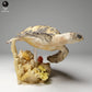 Product photo animal figure Animal Den Miniatures 2: Sea animal figure: Real Hawksbill Sea Turtle - swimming (24_05_03)