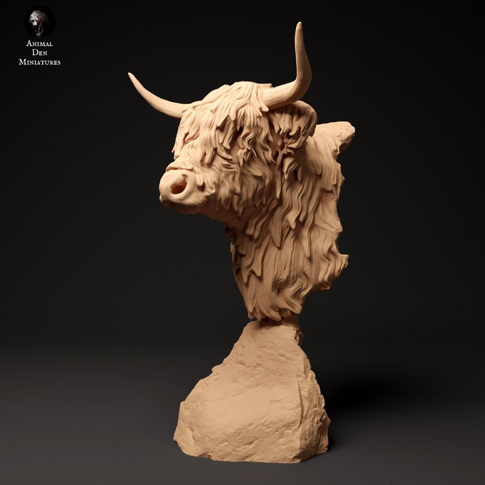 Product photo animal figure Animal Den Miniatures 0: Farm animal figure: Scottish Highland cattle - Bust (24_01_60)