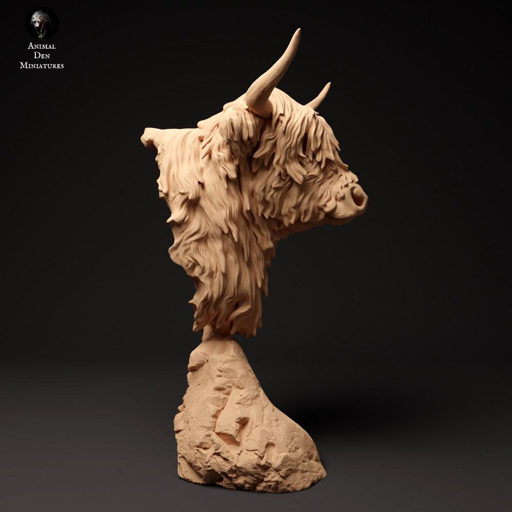 Product photo animal figure Animal Den Miniatures 1: Farm animal figure: Scottish Highland cattle - Bust (24_01_60)