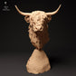 Product photo animal figure Animal Den Miniatures 2: Farm animal figure: Scottish Highland cattle - Bust (24_01_60)