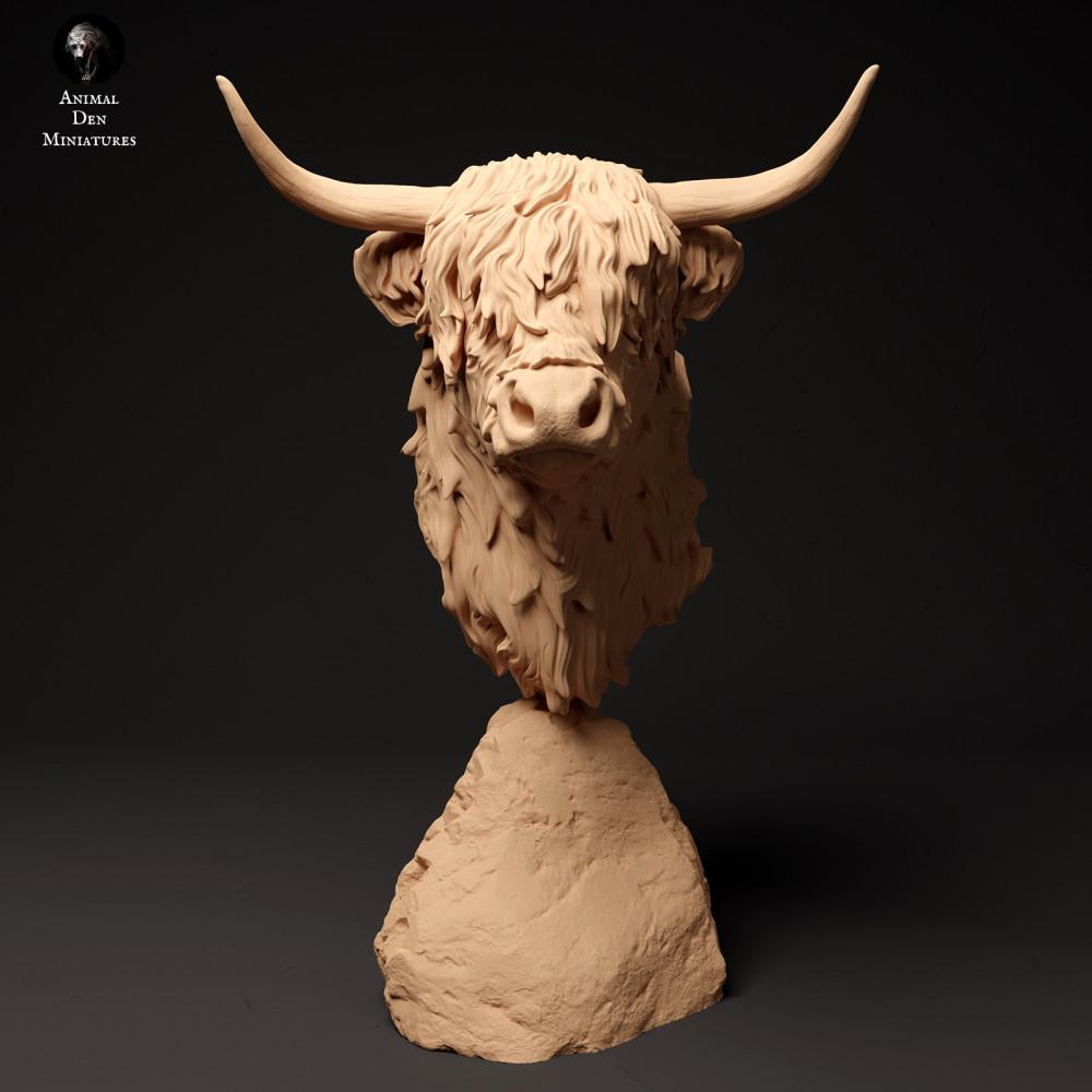 Product photo animal figure Animal Den Miniatures 2: Farm animal figure: Scottish Highland cattle - Bust (24_01_60)