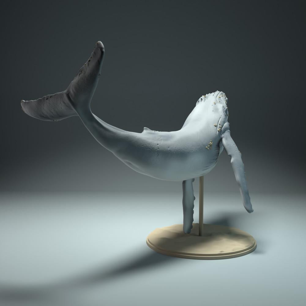 Product image animal figure Animal Den Miniatures 2: Sea animal figure: Humpback whale (22_09_03)