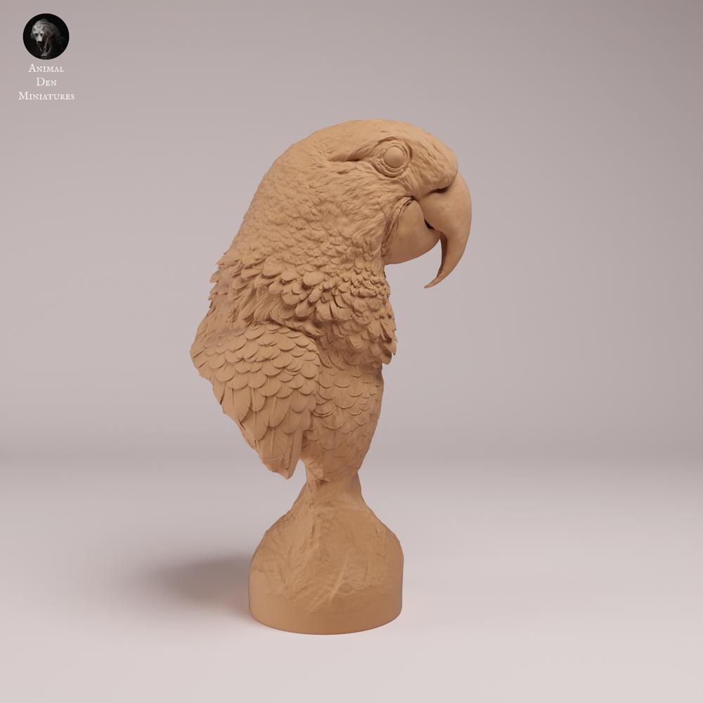 Product photo animal figure Animal Den Miniatures 1: Bird animal figure: Hyacinth Macaw - Bust (26_08_07)