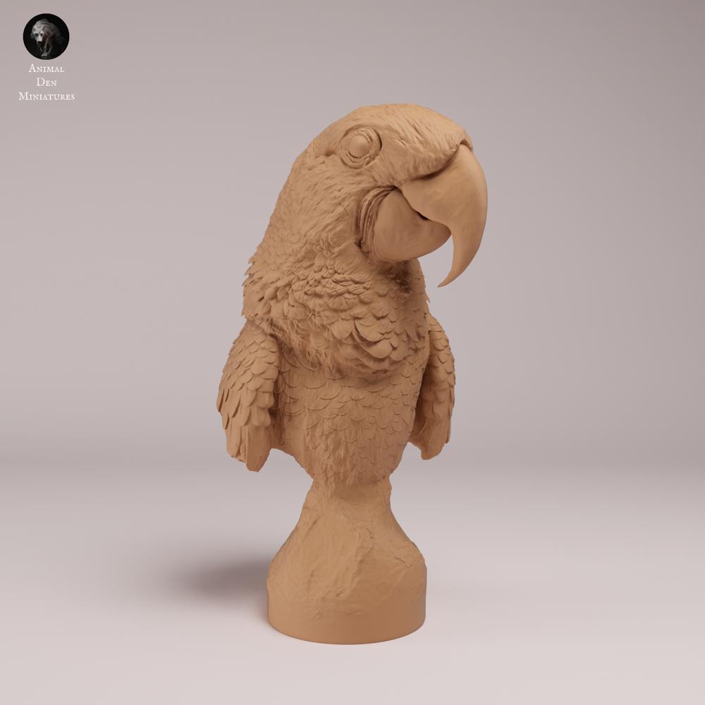 Animal figure product photo Animal Den Miniatures 2: Hyacinth Macaw - Bust (26_08_07)