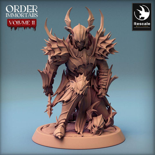 Product photo Tabletop 28mm Lord of the Print (LotP) 0: Tabletop miniature: Dark Paladin, Demon Knight, Death Knight with Morningstar - Draven Evernight Servitor (24_02_G7)