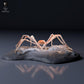 Product photo of animal figure Animal Den Miniatures 6: Sea creature figure: Japanese giant crab (26_09_05)