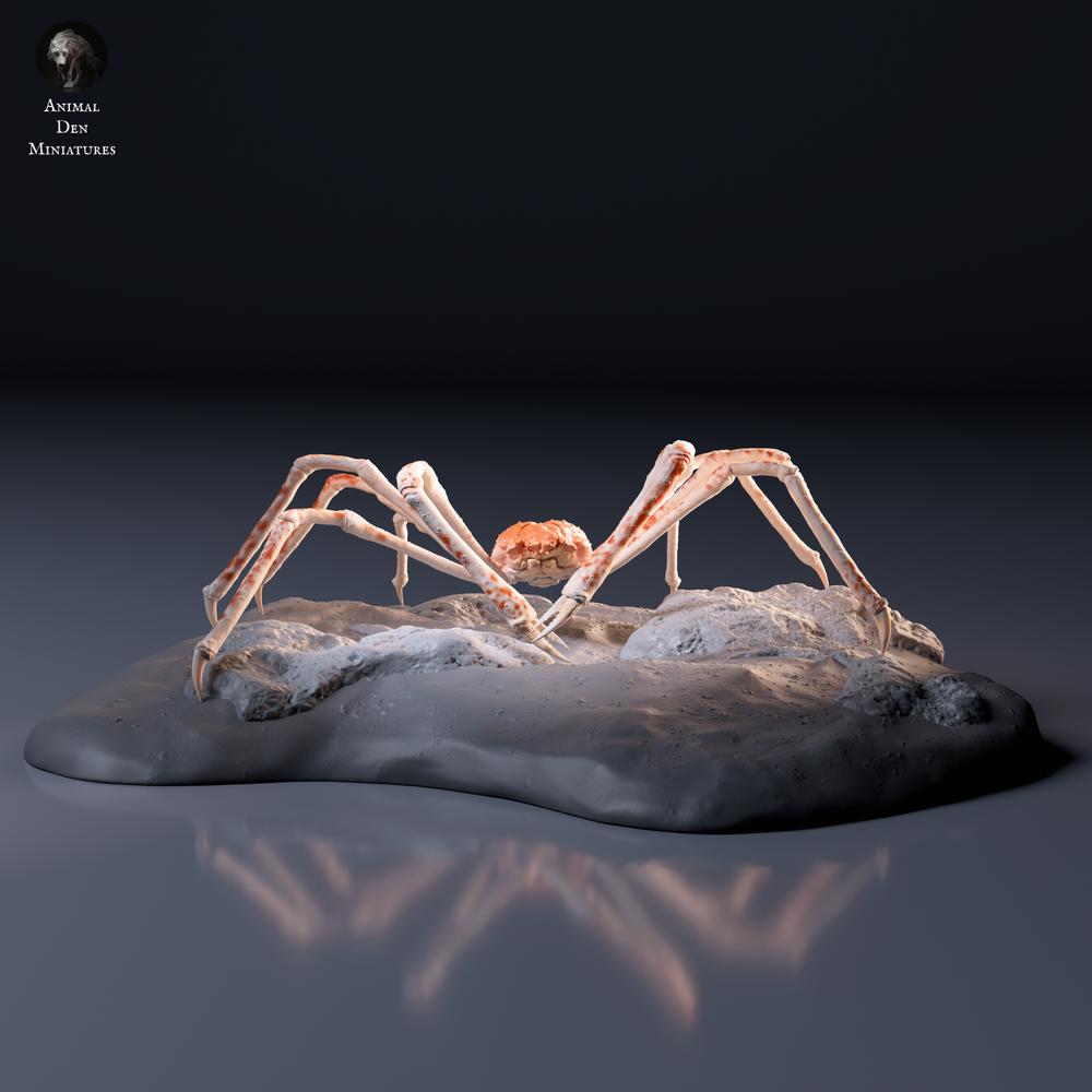 Product photo of animal figure Animal Den Miniatures 6: Sea creature figure: Japanese giant crab (26_09_05)