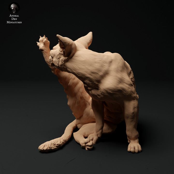 Pet Figure: Cat Grooming (a001)