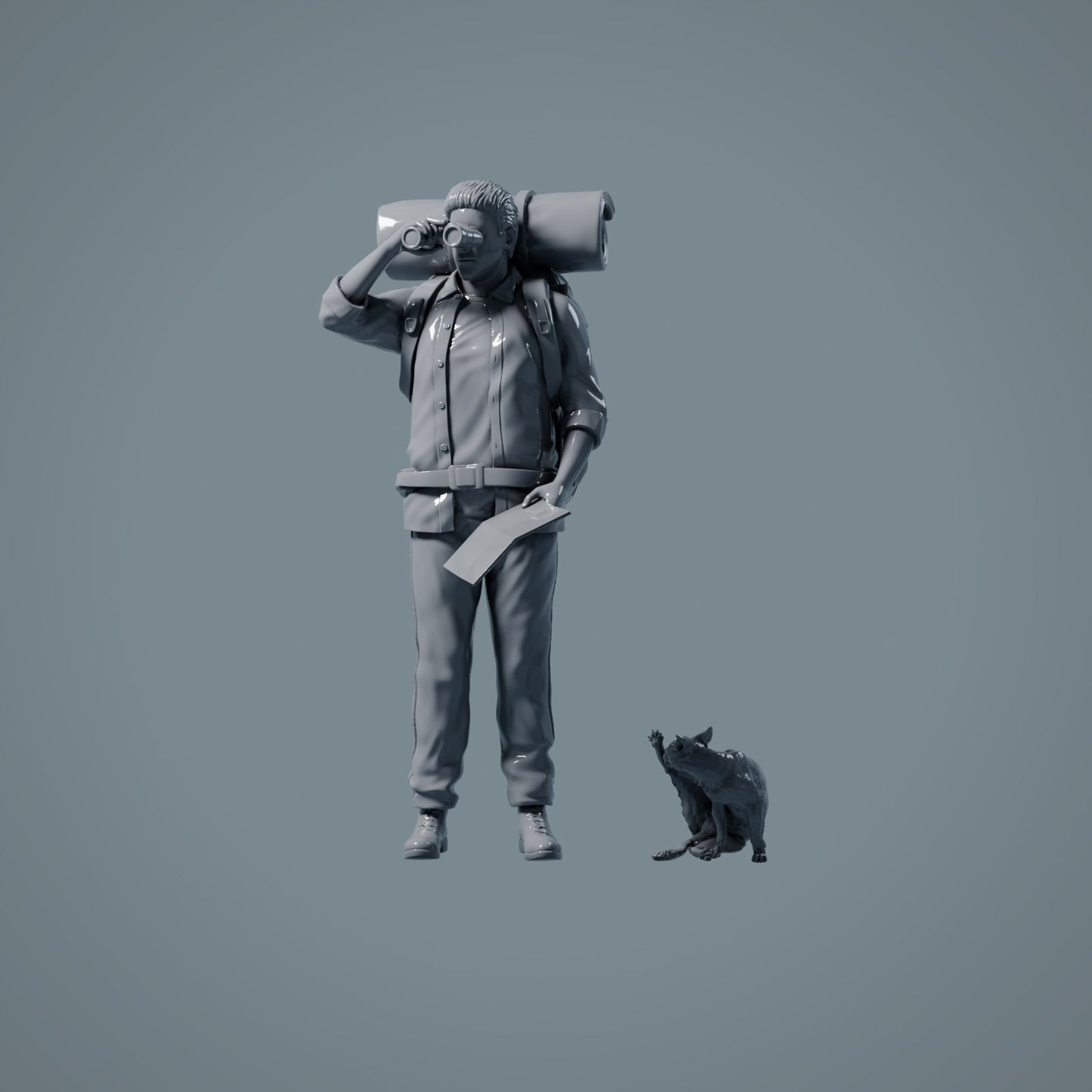 Pet Figure: Cat Grooming (a001)