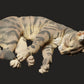 Product photo Animal Figure Diorama, Model Building: 0: Pet Figure: sleeping cat