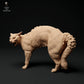 Product photo animal figure diorama, model building: 0: Pet figure: cat is bristling