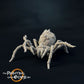 Product photo Tabletop 28mm The Printing Goes Ever On (TPGEO) 0: Spider Monster: Cave Spider Creatures
