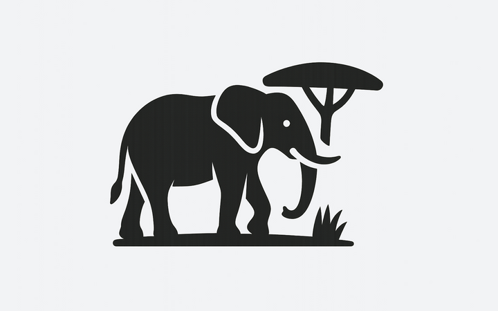 Savanna/Grassland/Steppe