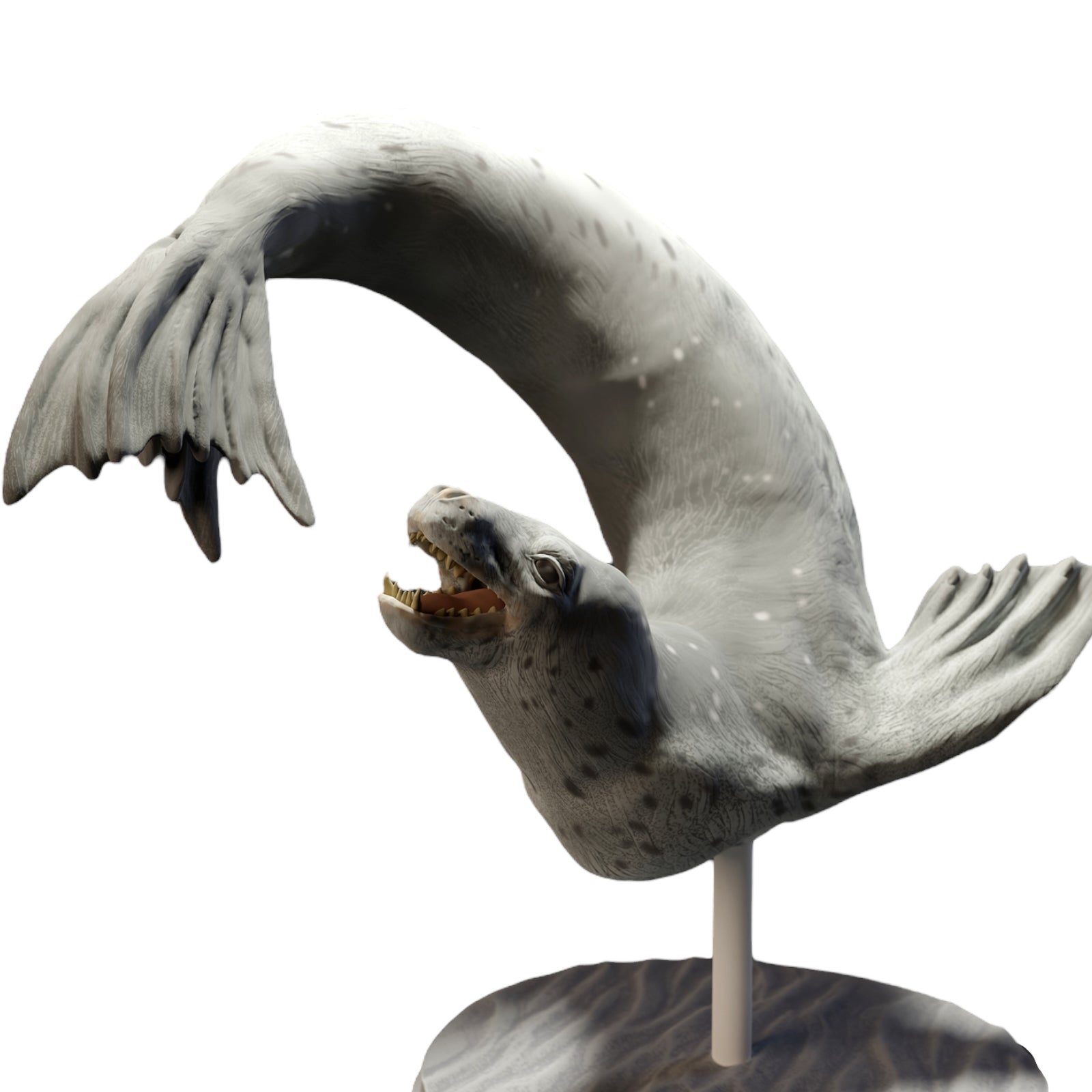 Product photo Diorama and model building miniature figure: Seal animal figure: Seal