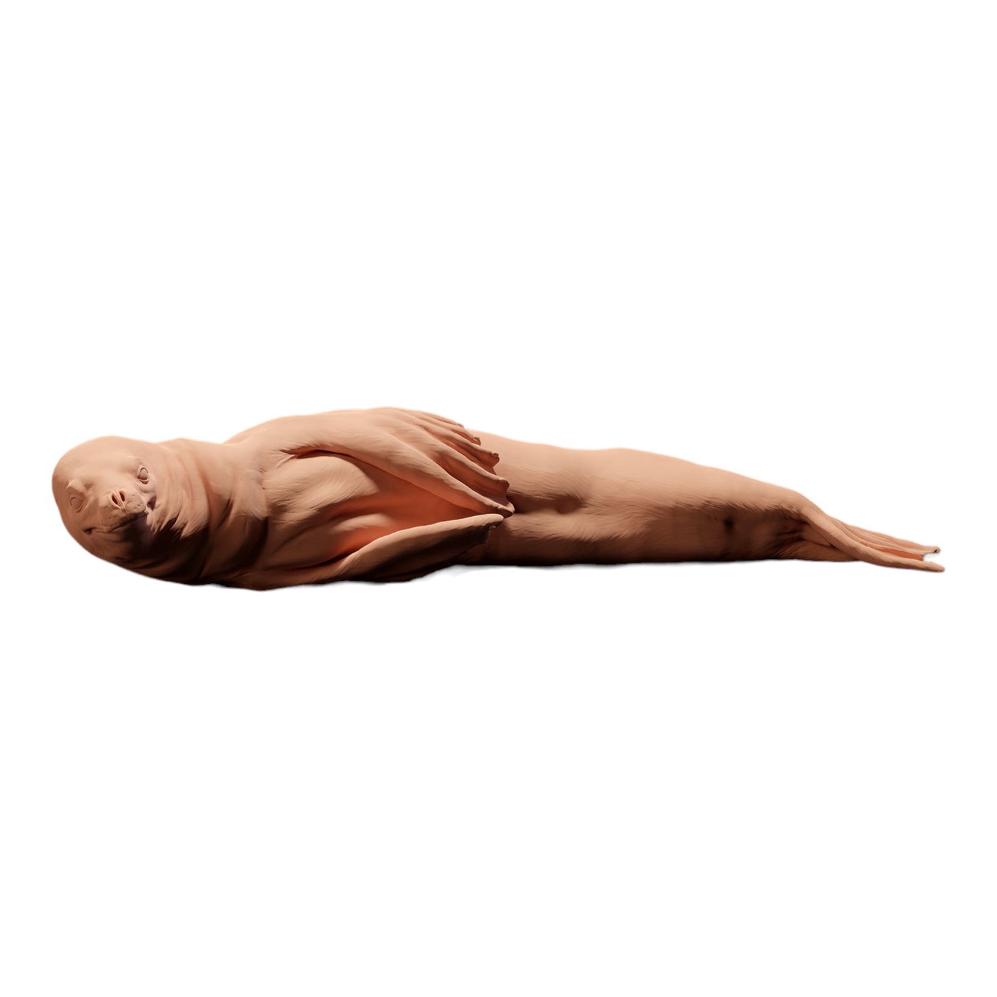 Product photo diorama and model building miniature figure: lying seal, animal figure: seal