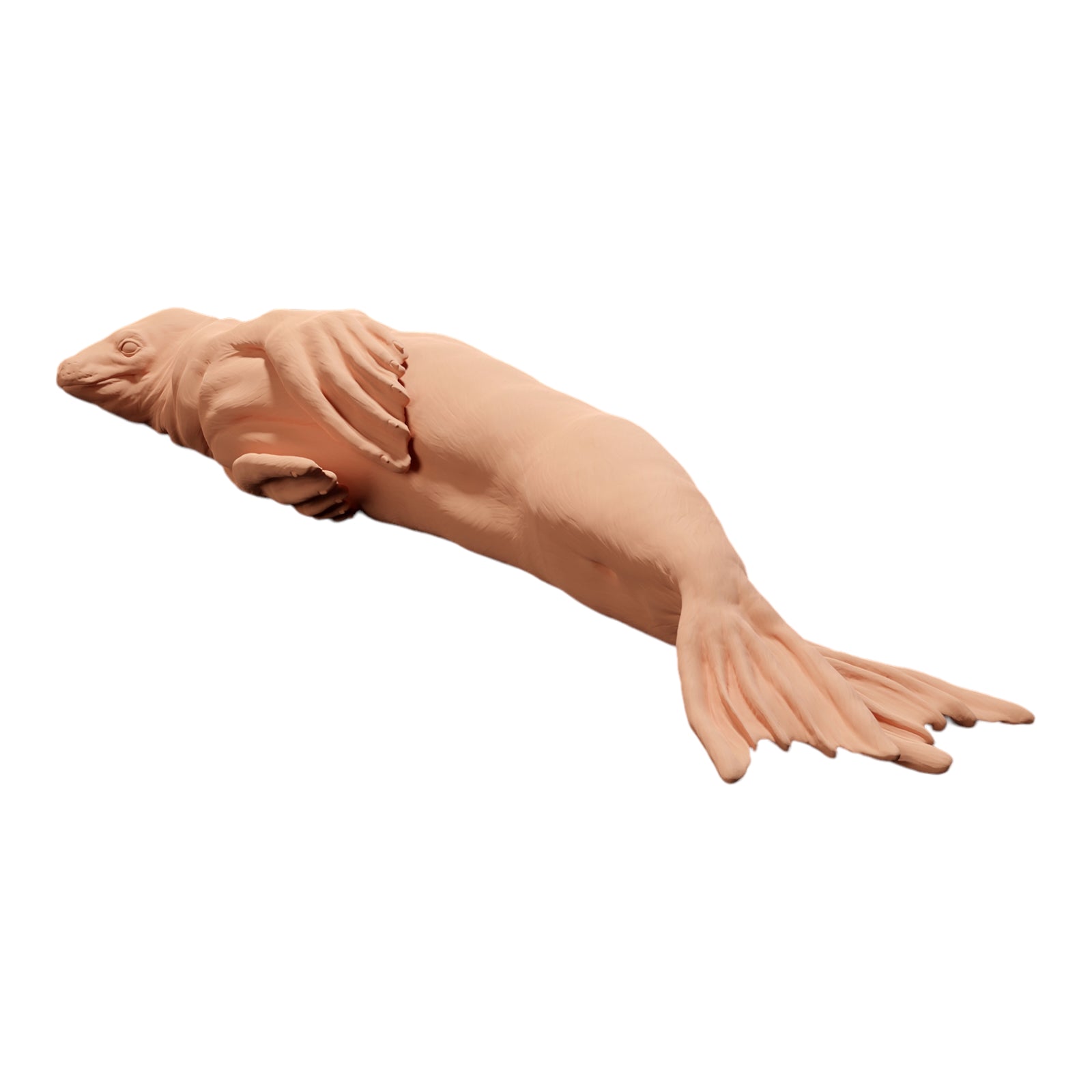 Product photo diorama and model building miniature figure: lying seal, animal figure: seal