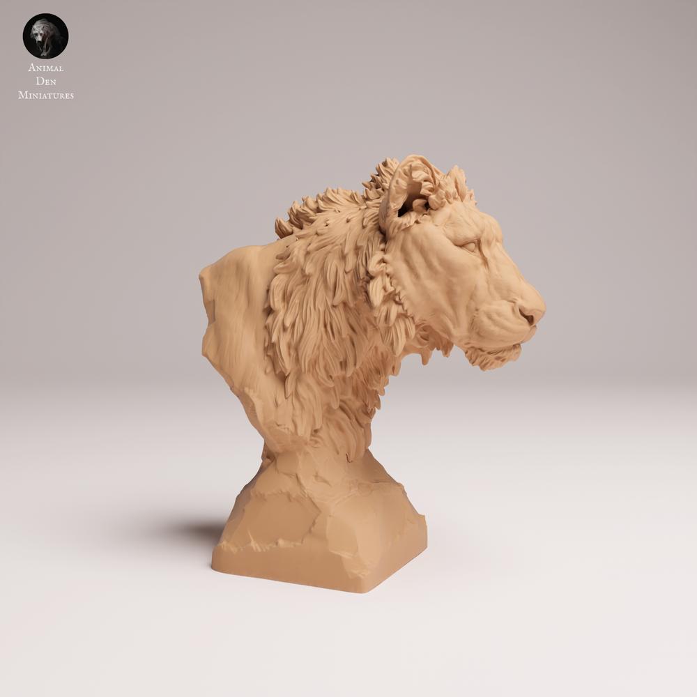 Product photo animal figure Animal Den Miniatures 2: Wild animal figure: Subadult Lion - Bust (25_08_14)