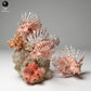 Produktfoto Tierfigur Animal Den Miniatures 2: Meerestier Tierfigur: Rotfeuerfisch (24_06_08)