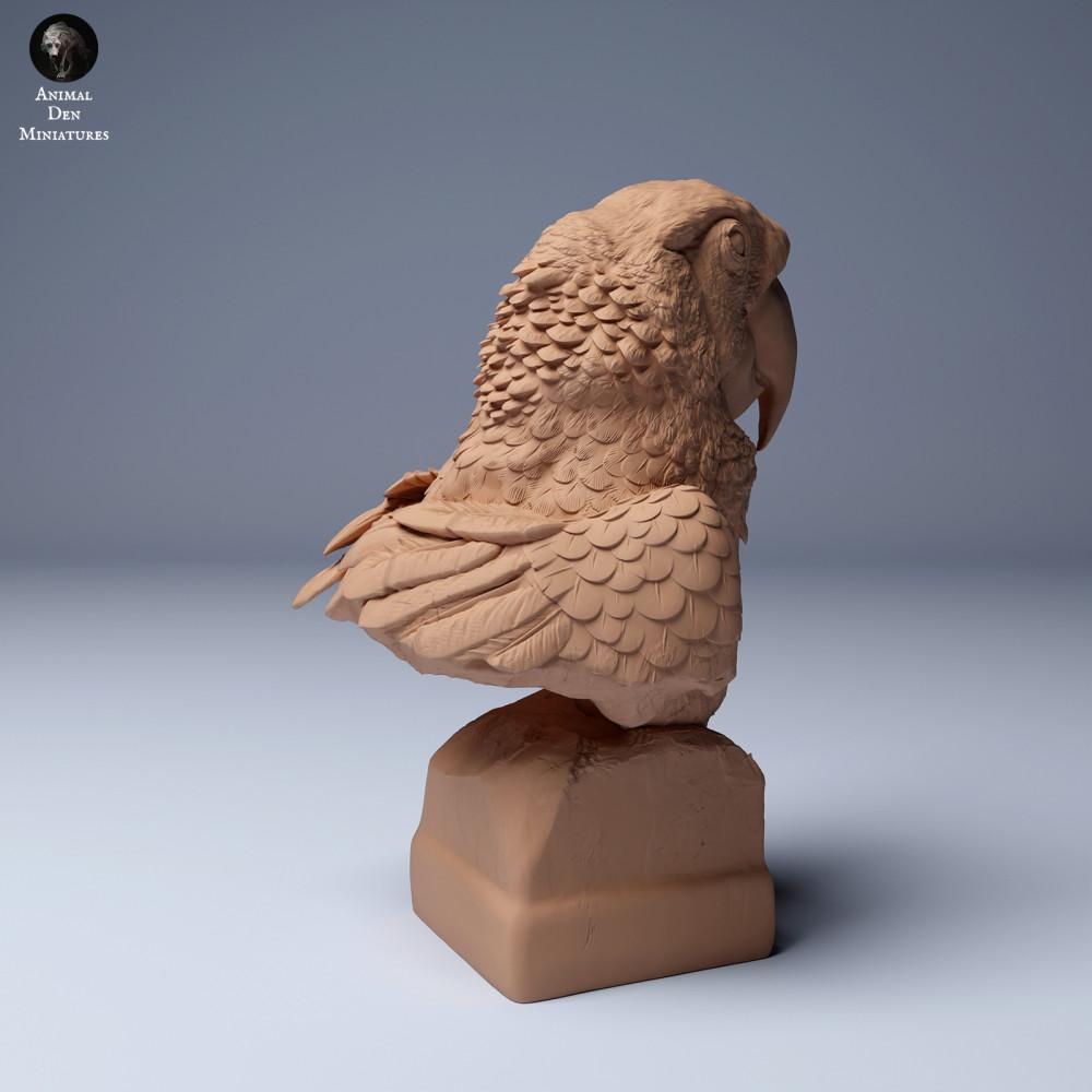 Product photo animal figure Animal Den Miniatures 1: Jungle animal figure: Scarlet Macaw - Bust (24_04_08)