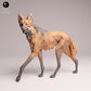 Product photo Tabletop 28mm Lord of the Print (LotP) 3: Wild Animal Figure: Mane Wolf - standing (25_12_03)