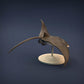 Produktfoto Tierfigur Animal Den Miniatures 2: Meerestier Tierfigur: Mantarochen (21_12_02)