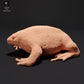 Product photo animal figure Animal Den Miniatures 0: Amphibian figure: Mexican burrowing toad (23_09_17)