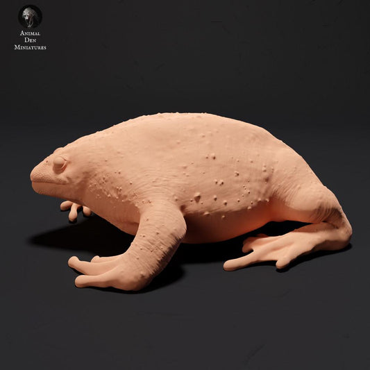 Product photo animal figure Animal Den Miniatures 0: Amphibian figure: Mexican burrowing toad (23_09_17)