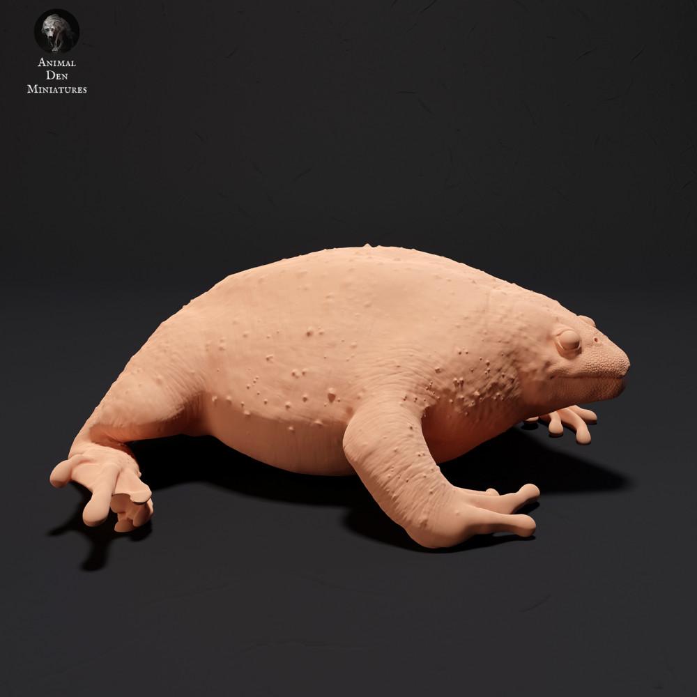 Product photo animal figure Animal Den Miniatures 1: Amphibian animal figure: Mexican burrowing toad (23_09_17)