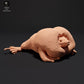 Product photo 0: Amphibian animal figure: Mexican burrowing toad - croaking (23_09_04)