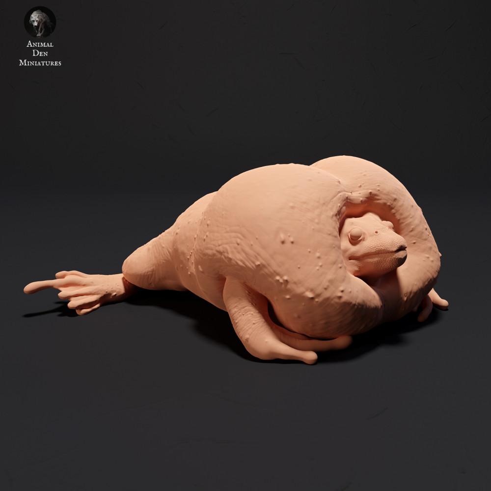Product photo 0: Amphibian animal figure: Mexican burrowing toad - croaking (23_09_04)