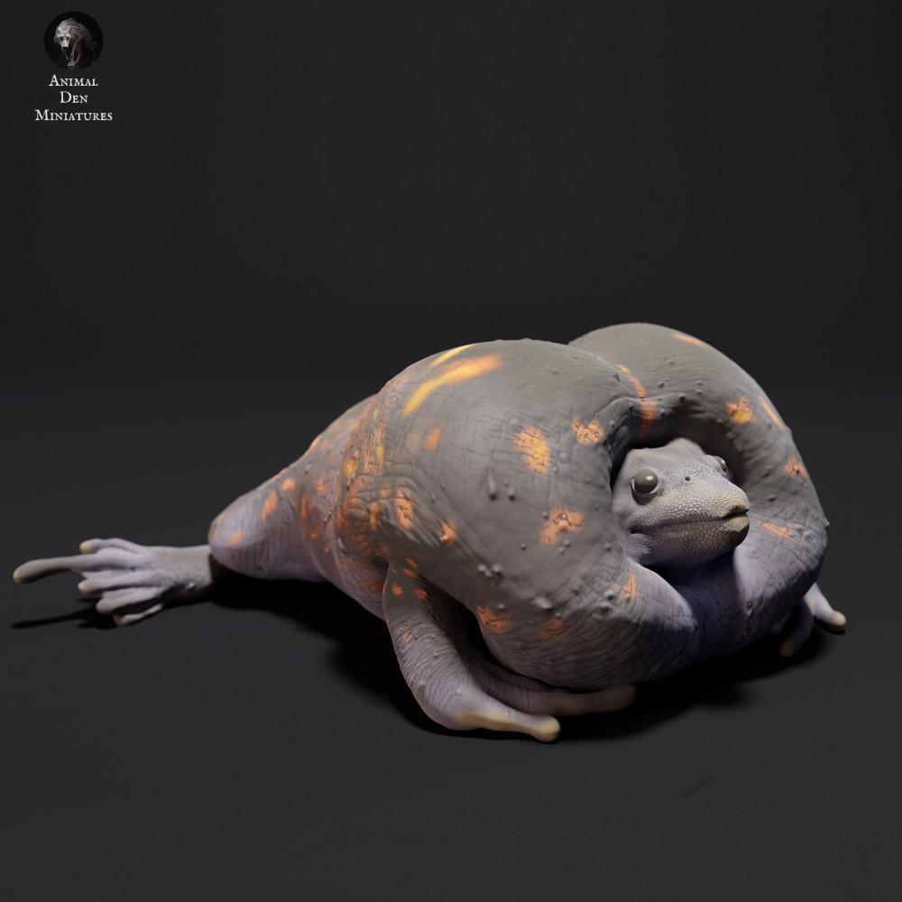 Product photo 2: Amphibian animal figure: Mexican Burrowing Toad - croaking (23_09_04)
